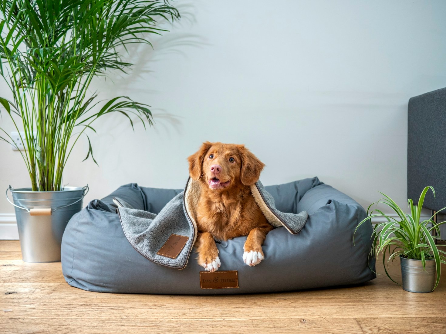 Choosing The Best Toys For Playtime